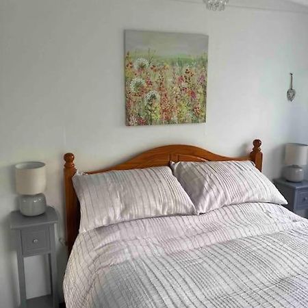 Cwtch Cymru Lodge 7F Caer Beris Holiday Lodge Park ビルス・ウェールズ エクステリア 写真